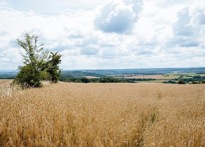 Du Chapy Casa vacanze Beauraing