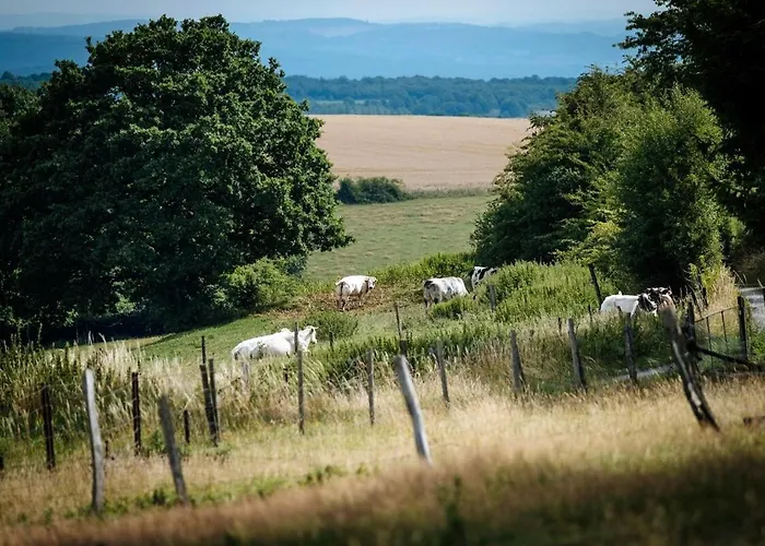 Дом отдыха Du Chapy *